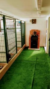 Pensiune canina