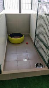 Pensiune canina