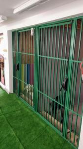 Pensiune canina