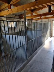 Pensiune canina