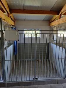 Pensiune canina