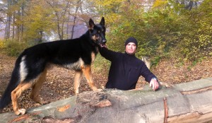 Dresaj canin